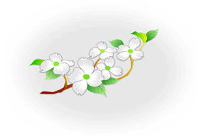 無料喪中はがきのイラスト