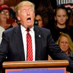 It’s all over for Donald Trump but the shouting Bill Palmer | 10:52 pm EDT August 26, 2018