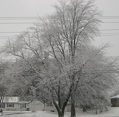 Along the street