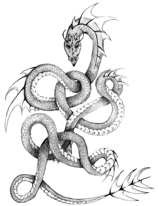 Sea Serpent Drawing at GetDrawings Free download Sea Serpent Drawing at GetDrawings Free download