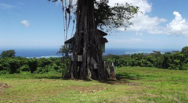 Now You Can Holiday in the Trees at This One-of-a-kind “Treesort”
