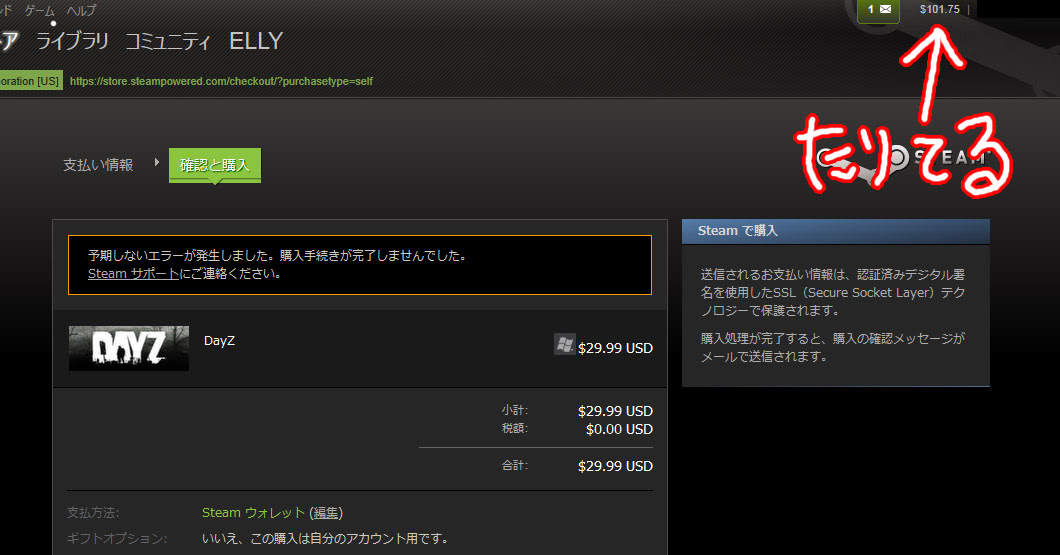 Steamのゲーム購入時に 予期しないエラー が発生した場合の対処法 Mome