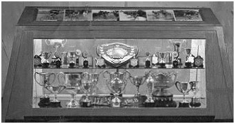 One years worth of Trophies!