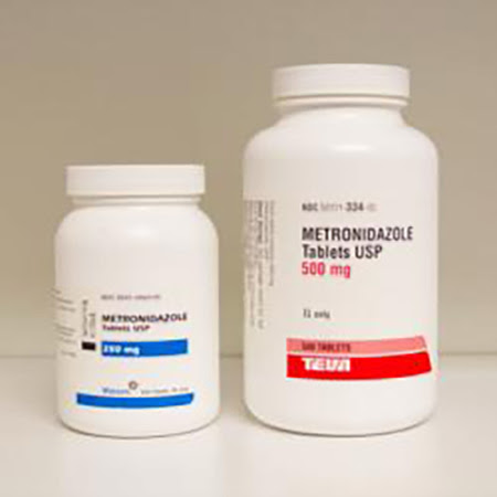 Metronidazole For Dogs American Kennel Club