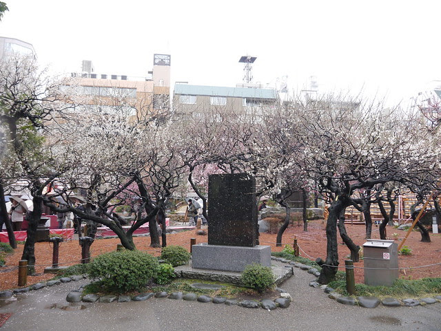 Tokyo : 10 Mar 2012