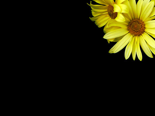 internet wallpaper free 