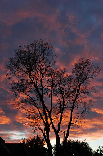 Sunset, Beverly Square West, Brooklyn, Halloween 2006