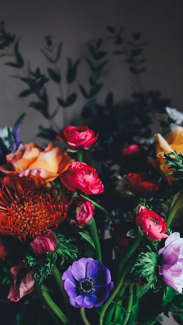 Flowers Iphone Wallpaper