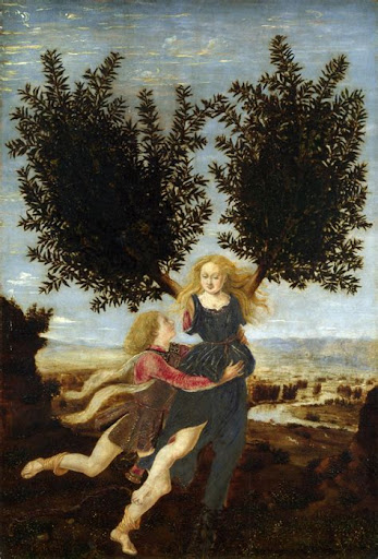 Irudia