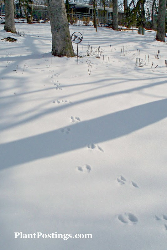 tracks3
