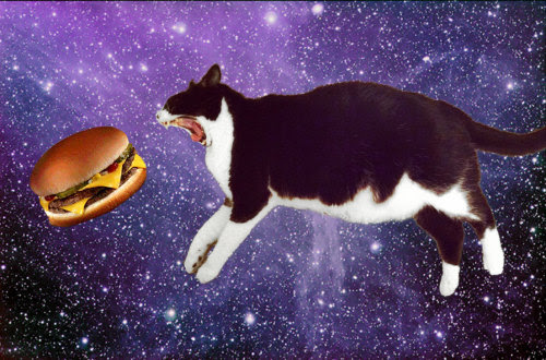 mrcharliechew Charlie In Space inspired by OMG Cats In mrcharliechew Charlie In Space inspired by OMG Cats In