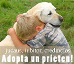  Adopta un prieten!