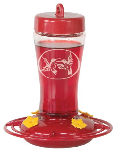 Homestead 12 oz Hummingbird Feeder (Etched Hardened Glass ...