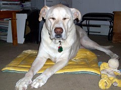 SimplyFido_311_outtakes13