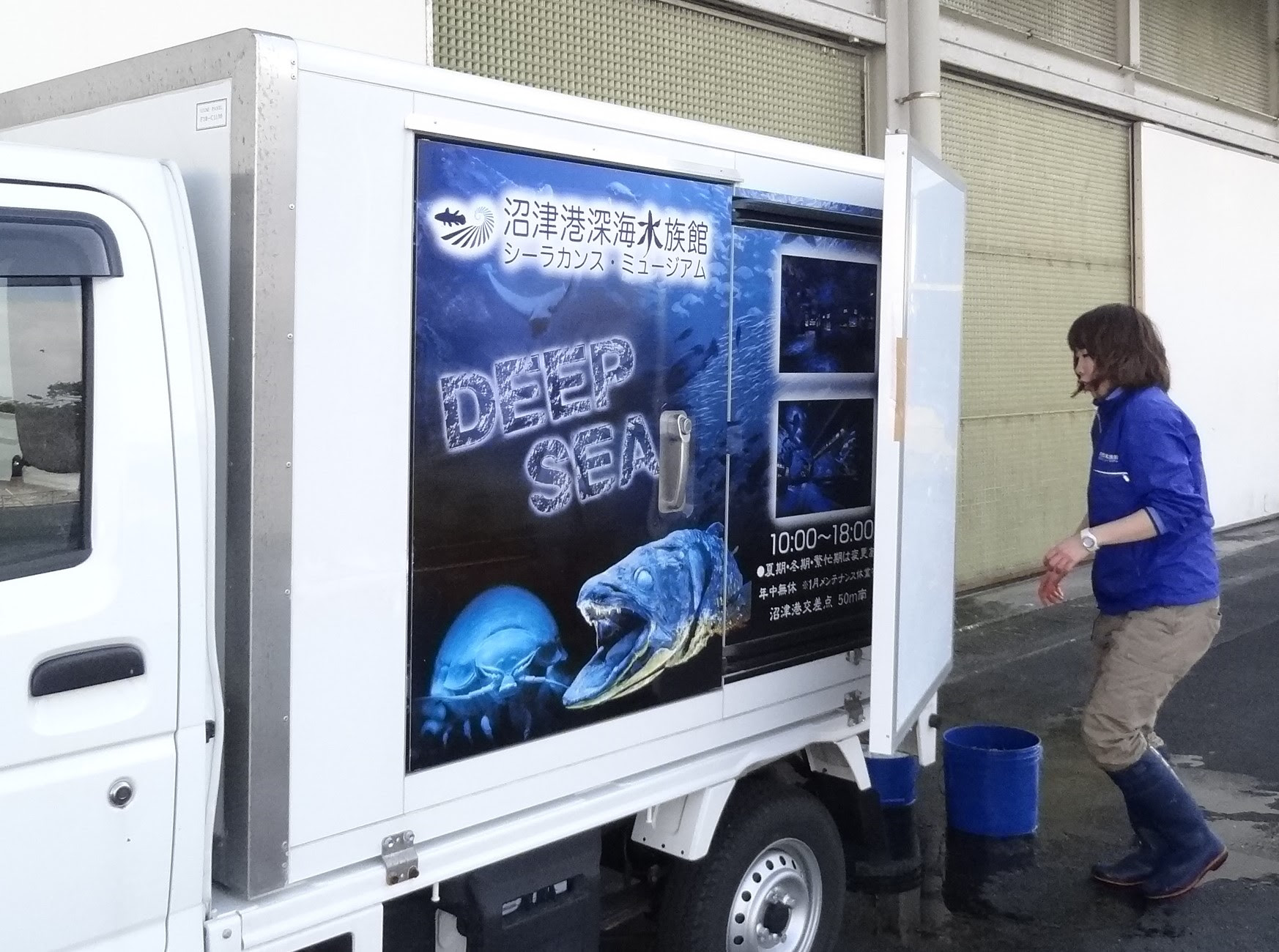 Tasaki Product Japan 深海生物学術標本