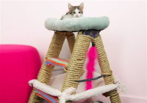 Il s'agit en fait de polyéthylène, qui . DIY : fabriquez vous-mÃªme un arbre Ã  chat - Des idÃ©es