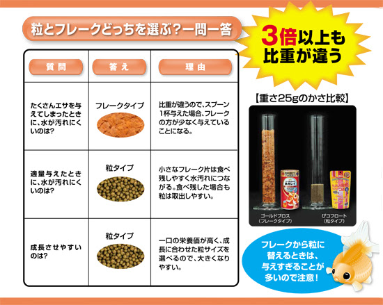 プロに聞く エサやりのコツ さかなの健康を考える食事の選びかた 熱帯魚のことなら みずものコム