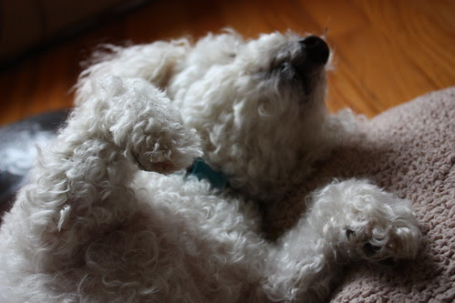 rub my belly