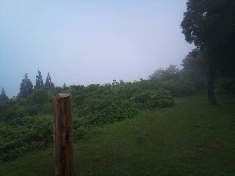 c033cc70.jpg