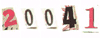 Web Site Counter