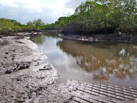 Cardwell Boat Ramps