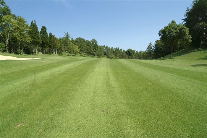 千葉県早朝ゴルフ 薄暮プレー 格安ゴルフ場はココ 早朝ゴルフ 薄暮プレー 格安ゴルフ場はココ