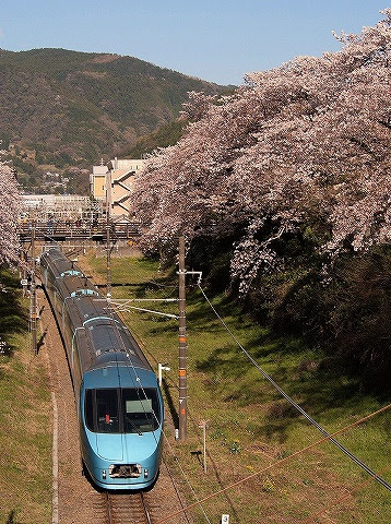 4 9 山北の桜 Mattoh