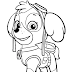 Paw Patrol Free Printable Coloring Pages For Kids - Find the best paw patrol coloring pages for kids and adults and enjoy coloring it.