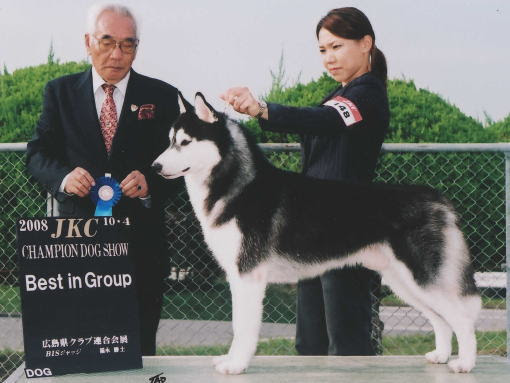 ペットショップ リブズ 交配犬について