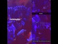  Wizkid Fights Man, His Fan For Snapping Him At A Club