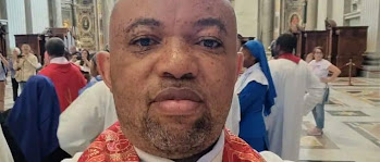 Nigerian Catholic priest suggests VDM and Mr Jollof's mid-fliight fight is a "diversionary tactic to prevent people from discussing the country's real problem"