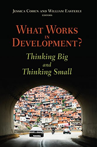 What Works in Development?: Thinking Big and Thinking Small, by William Easterly, Jessica Cohen
