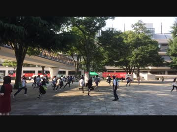 18年 第85回日本ダービー 開門ダッシュの様子ｗｗｗ 東京競馬場 ニコニコ動画