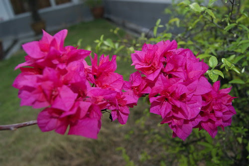 DSC08037
