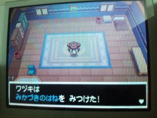 ストレンジャーハウス考察 １代目アルモニーア ログ