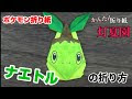 [10000ダウンロード済み√] ナエトル 萎えとる 131306-ナエトル 萎えとる