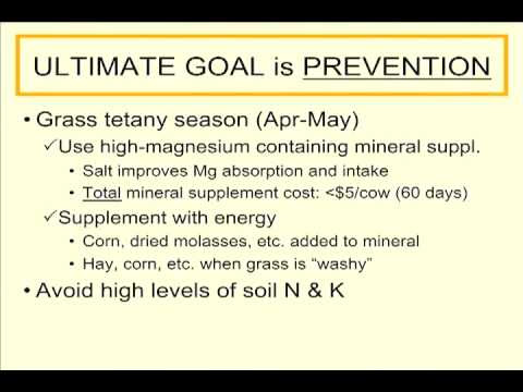 Grass Tetany: A Primer. Grass Tetany: A Primer