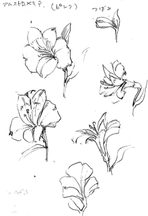 花の描き方 アルストロメリア 塗り絵 塗り絵で癒し 風景画 花の絵