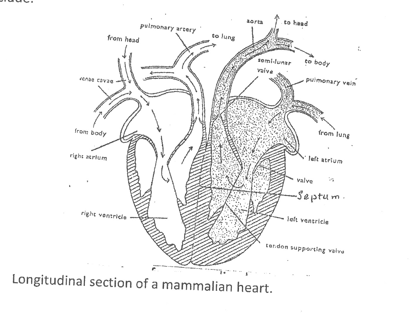 Biology 2 Nov/Dec 2009