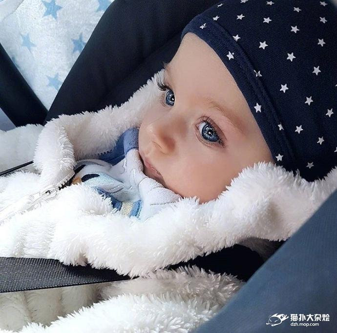 50 素晴らしい可愛い 赤ちゃん 外国 最高の動物画像