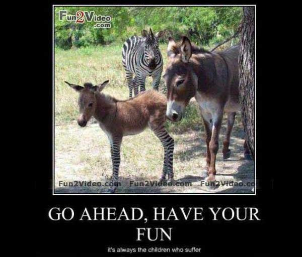 Mule Sayings Quotes. QuotesGram