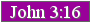 John 3:16 Button