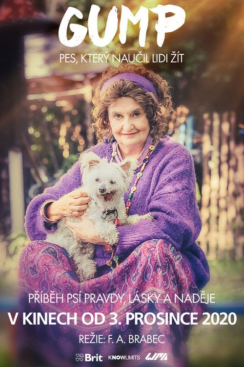 Videa Online Gump – pes, který naučil lidi žít 2020 Teljes Film
Magyarul Streaming Online