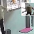 Senhor dá com a cara na porta e câmera registra o tombo; assista vídeo