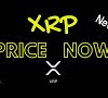 Who Owns Xrp Ripple - Ripple XRP WHEN GLITCHES WILL SUDDENLY BE REAL!! - YouTube : It is this which is being popularised under the name of ripple and is owned by ripple labs.