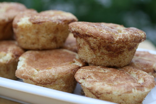 Food Librarian - Snickerdoodle Muffin