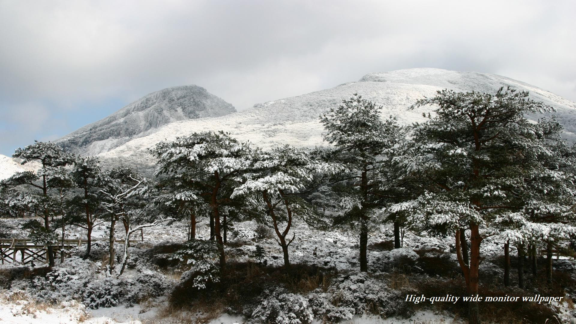 雪景色の韓国岳 えびの高原 をモチーフにしましたワイドモニター専門高画質壁紙 アスペクト比１６ ９ 19 1080 冬の風景 自然風景 樹氷 雪景色