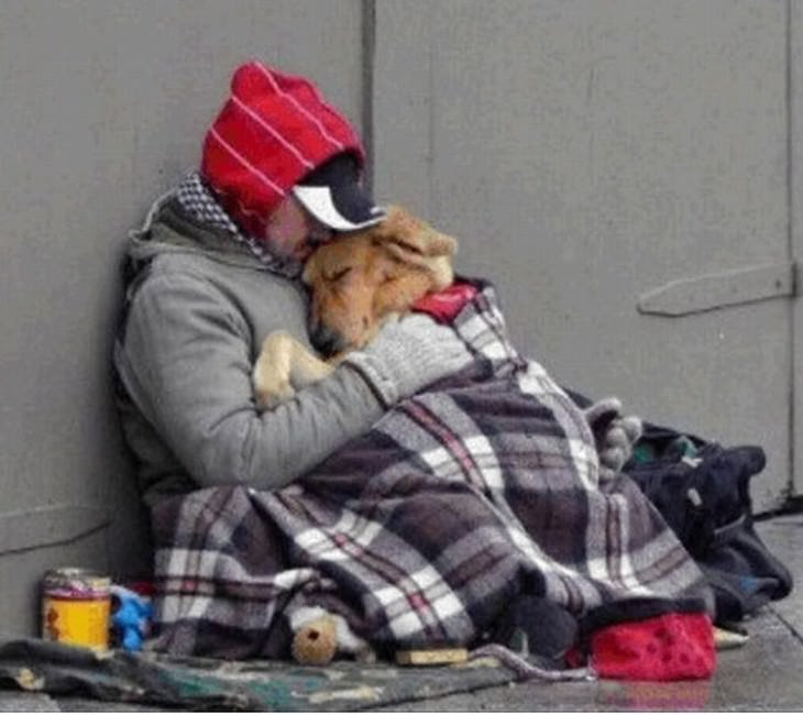 lado más cariñoso de los perros