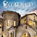 Coronado Stone Brick Veneer / We did not find results for: