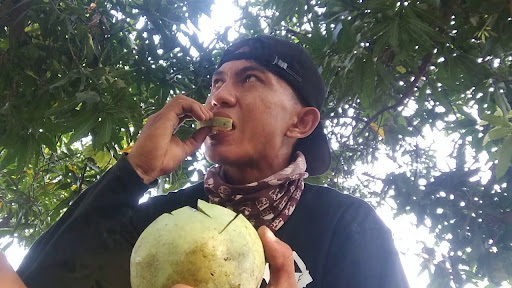 Gambar